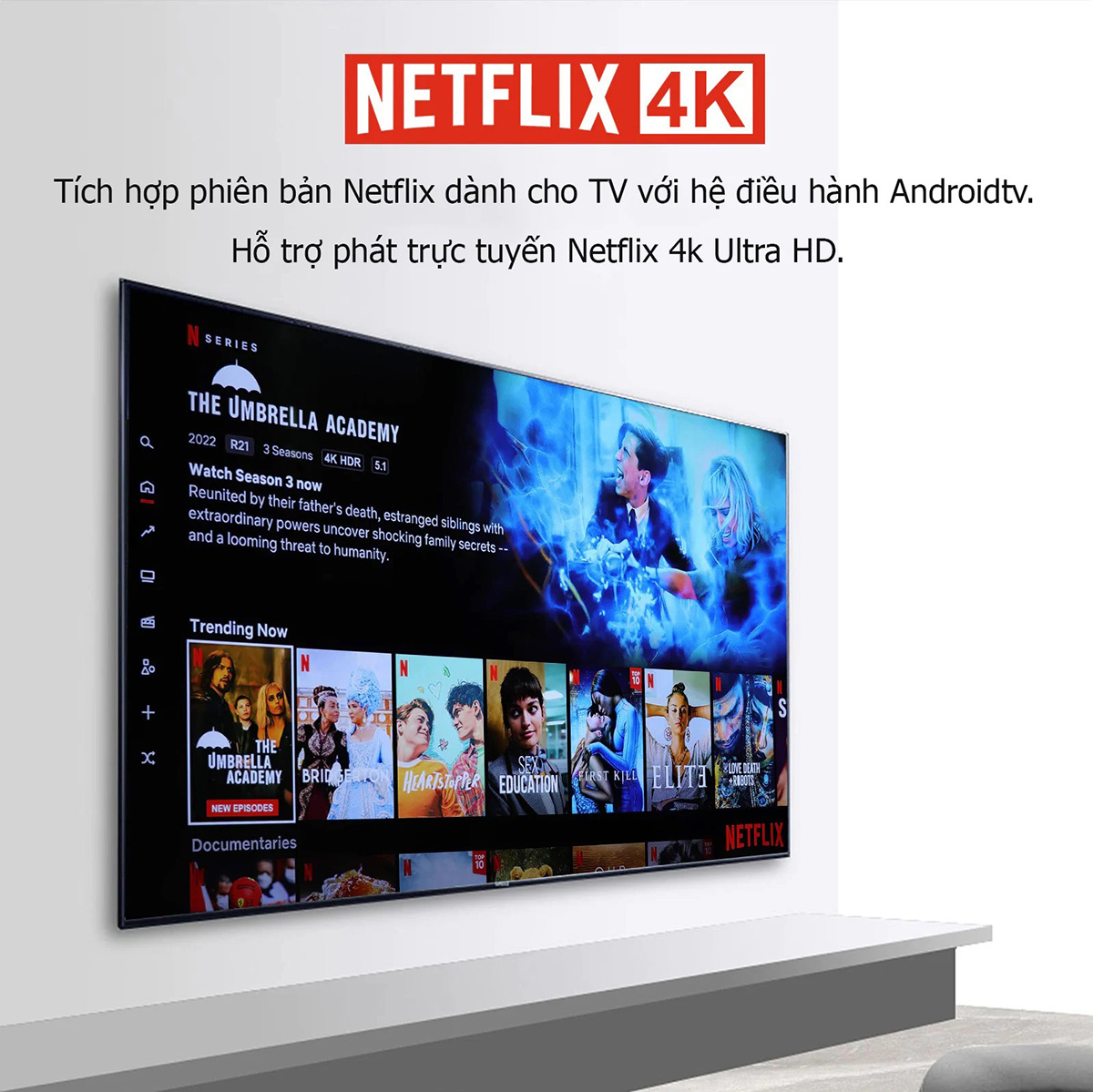 Android TV Box HIMEDIA S500 Pro Android TV 11 New 2023