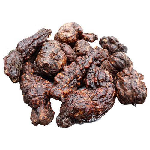 [HOT] Hà thủ ô đỏ (đã chế) 1kg - Thảo Dược Tấn Phát - Hàng sạch cao cấp đã qua sơ chế