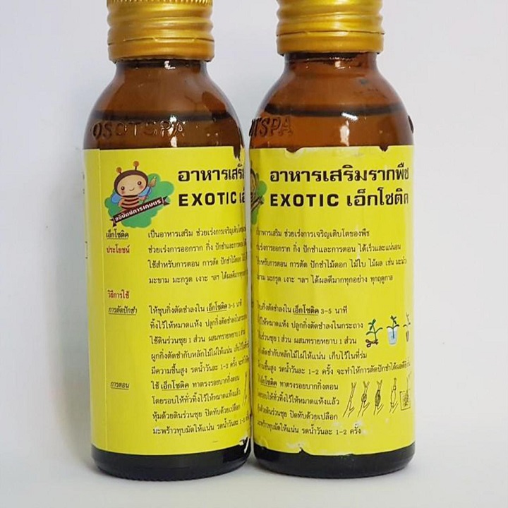 KÍCH RỄ Siêu Mạnh EXOTIC chai sành 100ml