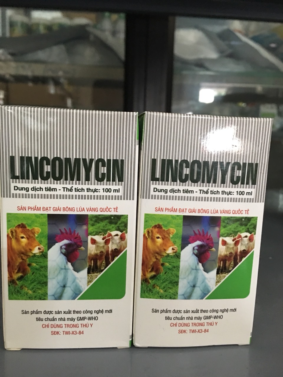 Lincomycin 10% tw1 - chỉ dùng trong thú y