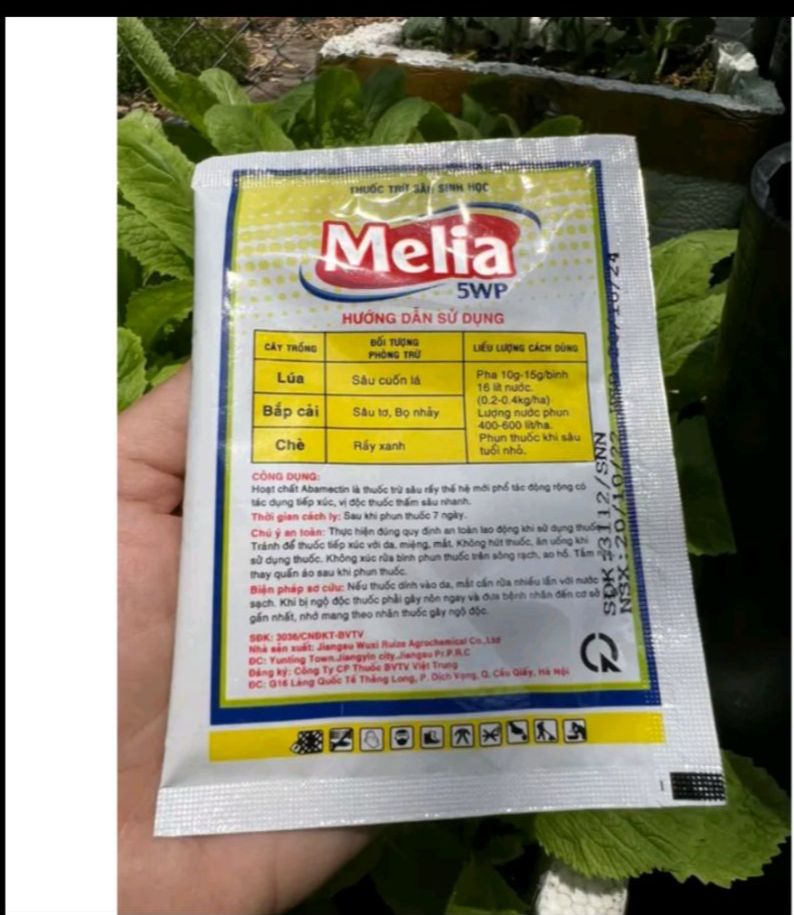 Melia 5WP
