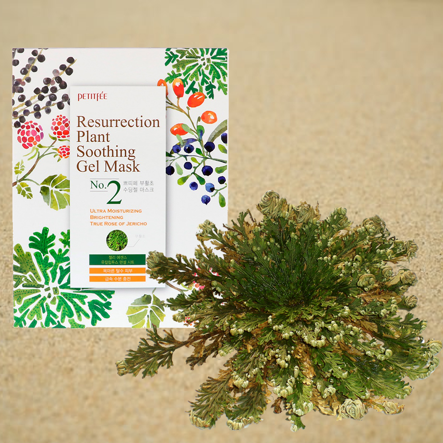 Mặt nạ mặt PETITFEE Resurrection Plant Soothing (hộp 10 gói)