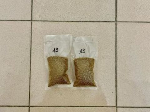 Cám chim khuyên, cám số 13, cám dưỡng quanh năm - nhập khẩu trung quốc - gói 500 gram