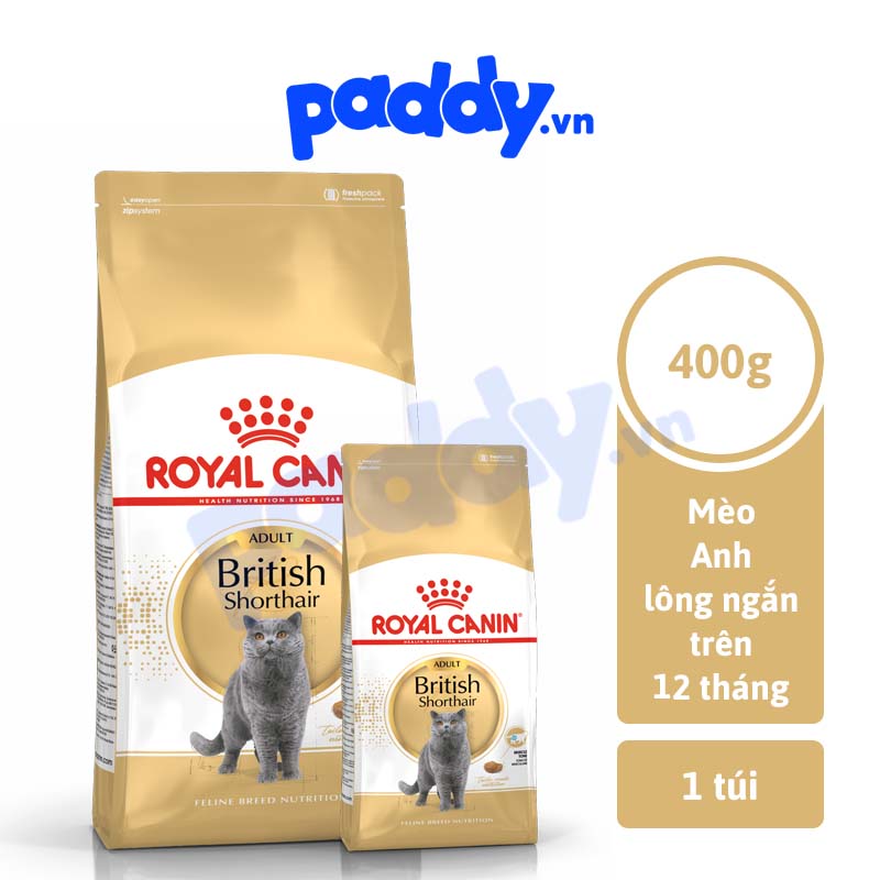 Thức Ăn Hạt Cho Mèo Anh Lông Ngắn Trưởng Thành Royal Canin British Shorthair Adult
