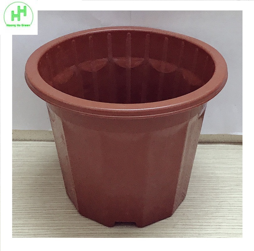 5 Chậu Nhựa Trồng Hoa, Cây Cảnh E230 CN