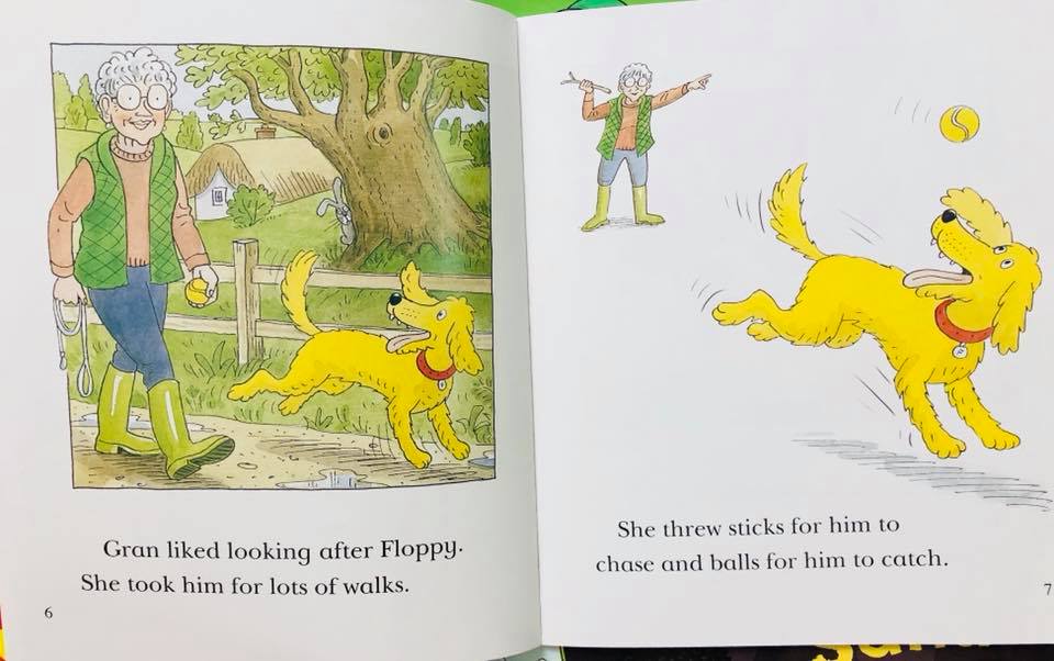 Bộ nhập - Oxford Reading tree level 4-5-6 - Read with Biff, Chip & Kipper + file Audio