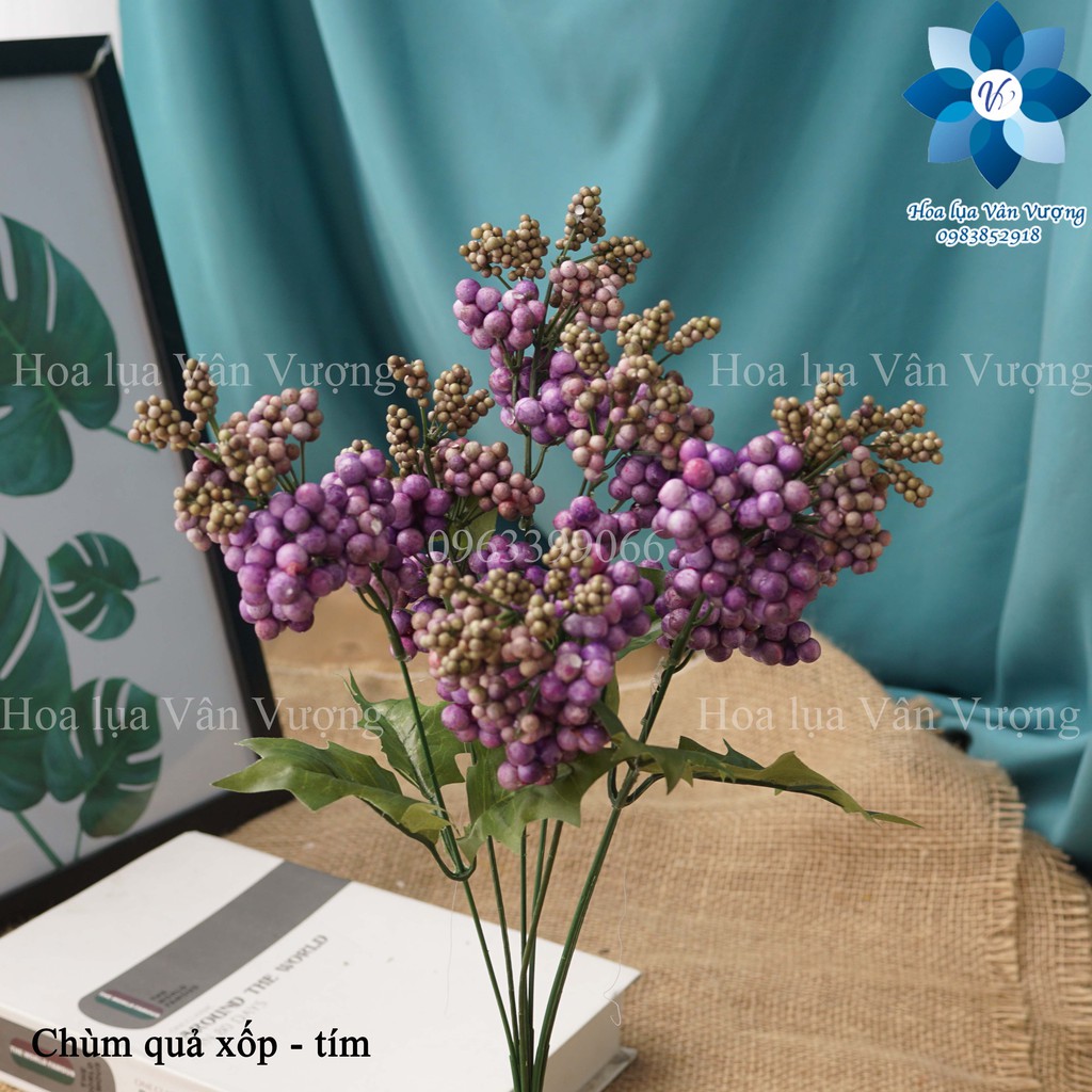 Hoa Giả, Chùm Quả Xốp Điểm