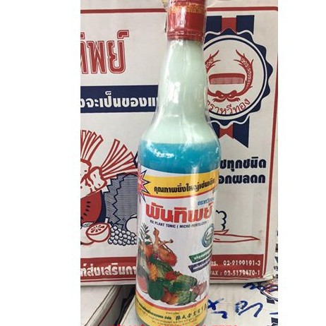 Phân sữa thái - làm đẹp hoa chai 725ml