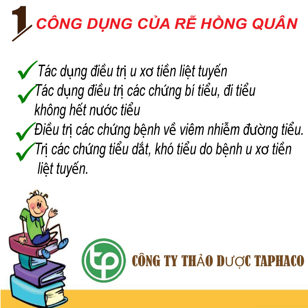 Rễ hồng quân khô túi nhỏ lại 100gram - Thảo Dược Tấn Phát