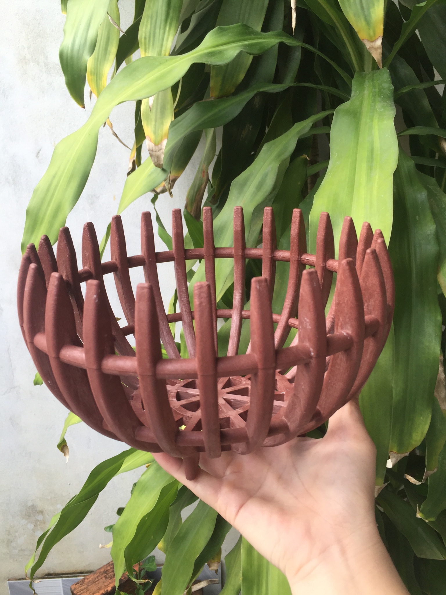 SET 5 Chậu Lan Phi 23 Giả Gỗ