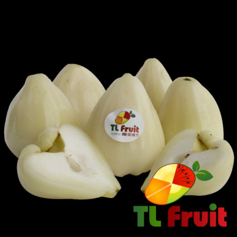 Cây Mận Trắng Sữa (siêu sớm)(CÂY GIỐNG NGỌC HIẾU)