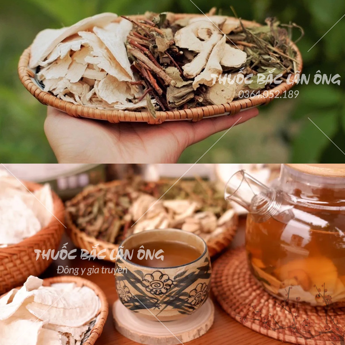 Set trà thảo mộc sâm tố nữ mix (Củ sâm, nam dương sâm, diệp hà thủ ô, cúc mật) - Lãn Ông