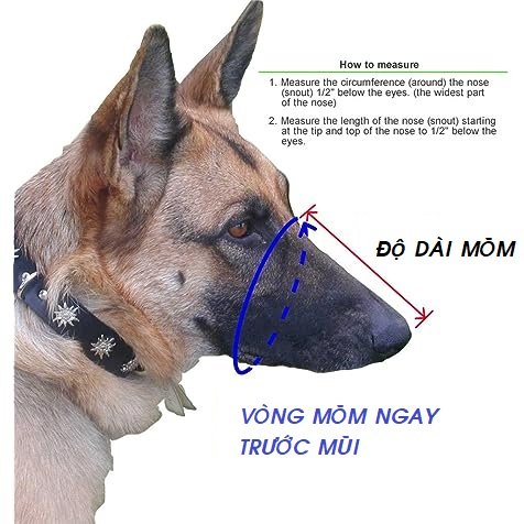 Rọ Mõm Chó Chất Liệu Da PU 2 lớp