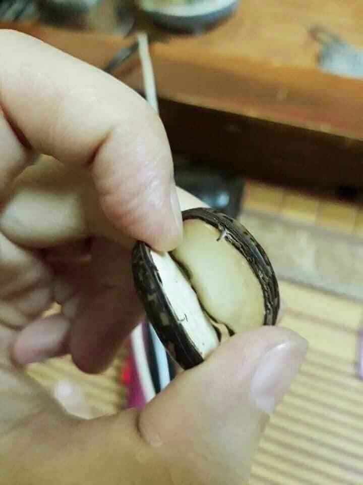 20 HẠT ĐẬU LÀO