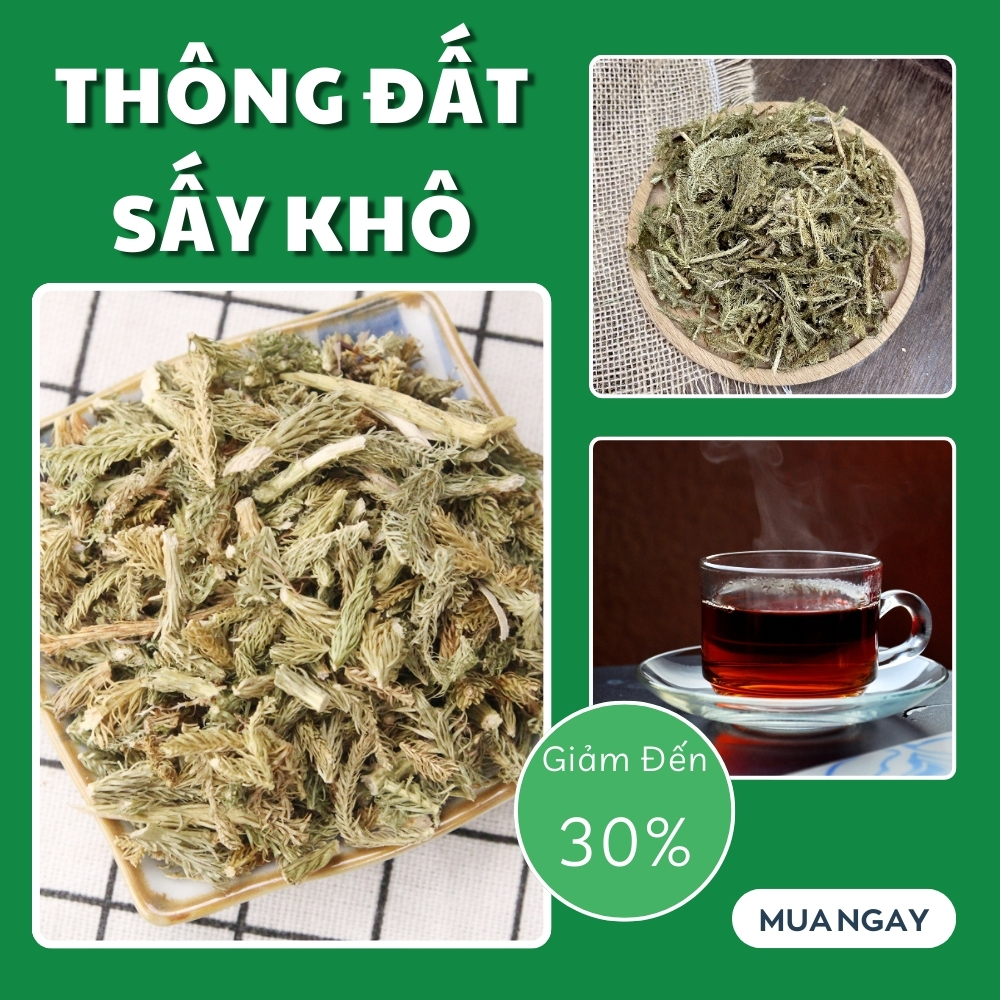 [Hàng mới về] Cây thông đất khô 100g - Tấn Phát - hàng sạch cao cấp chuyên dùng để pha trà