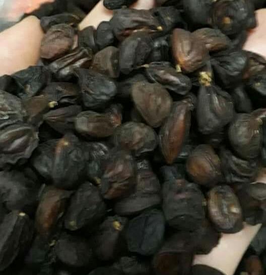 50 HẠT DỔI TÂY BẮC