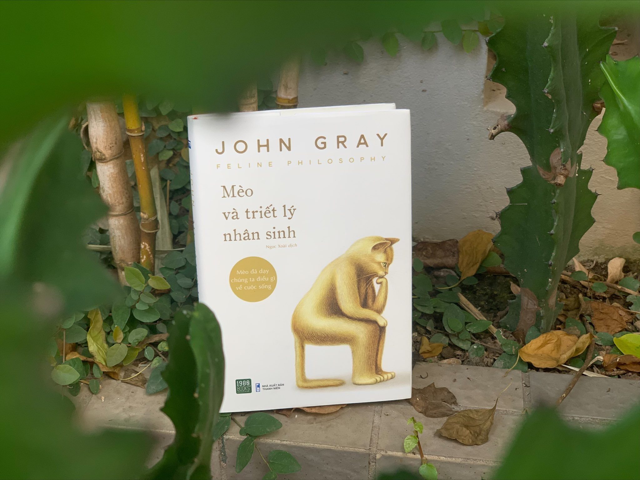 Mèo và triết lý nhân sinh - Tiến sĩ John Gray (1980BOOKS HCM)