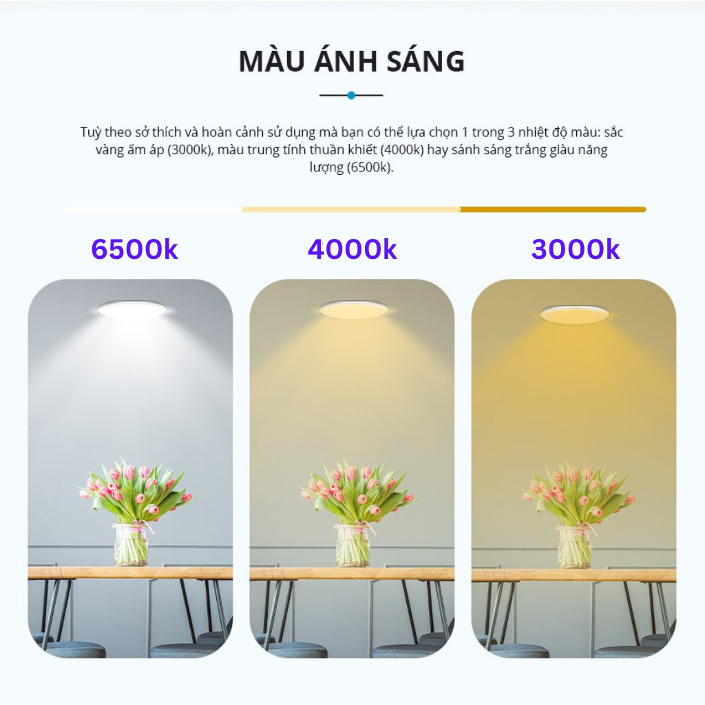 Đèn LED âm trần Downlight Đơn sắc Pana DN 2G Công suất (6W,9W,12W,15W,18W,24W)