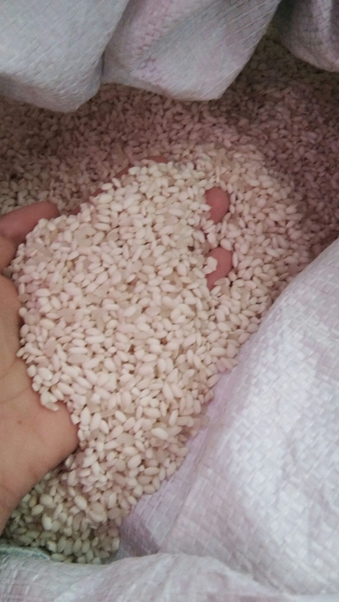 1kg gạo nếp