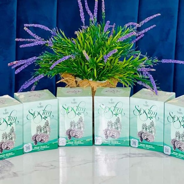 Combo 5 hộp viên uống Soslimplus ( 1 hộp x 30 viên)