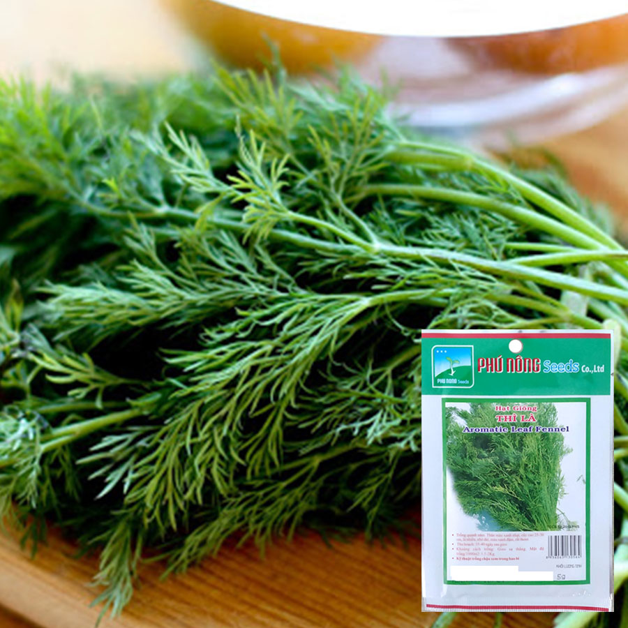 Hạt giống Thì Là PN Dễ Trồng 5g - PhuNongSeeds - Hạt Giống Rau Củ Quả Nảy Mầm Nhanh Sinh Trưởng Mạnh - VTNN Nông Điền Trang