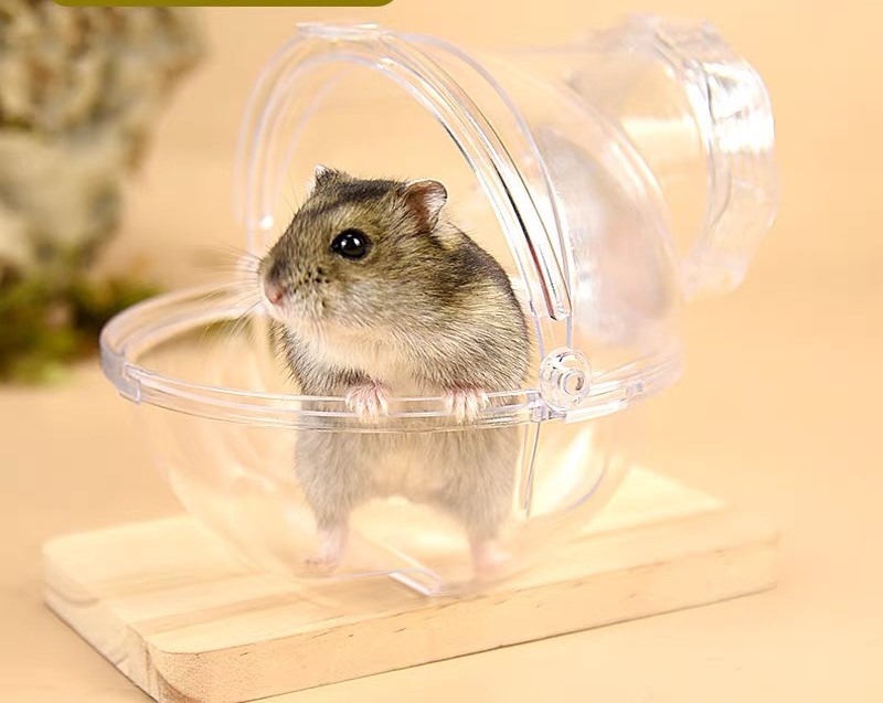 Nhà tắm vũ trụ gắn lồng dành cho hamster / đuôi mập - T3 PETS SHOP