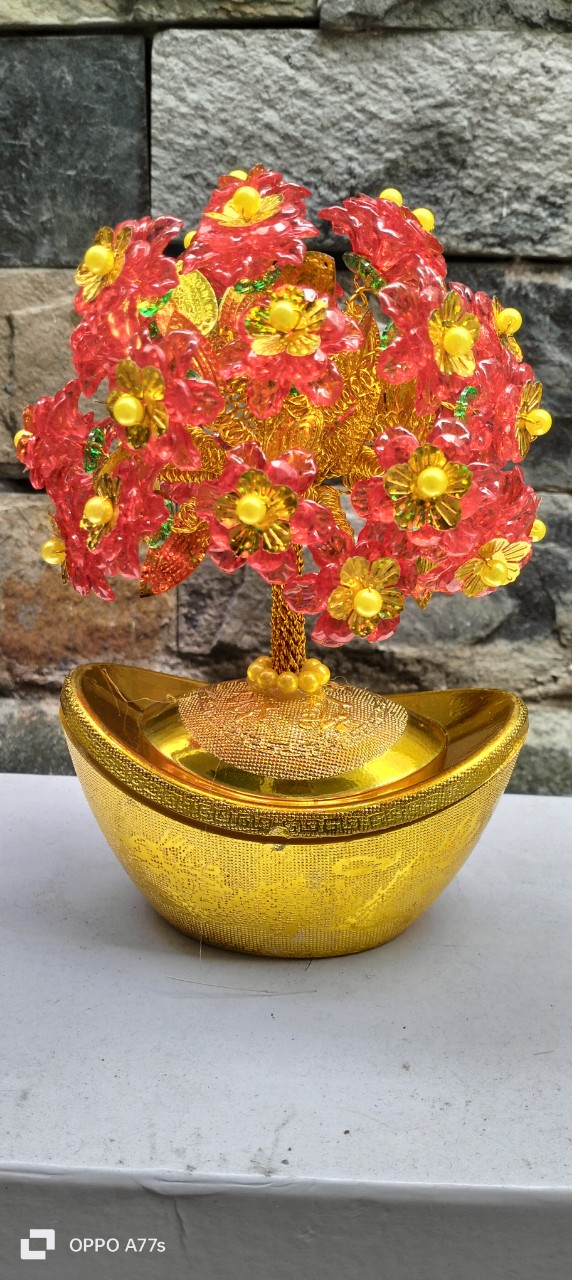 Cây kim ngân vạn lượng