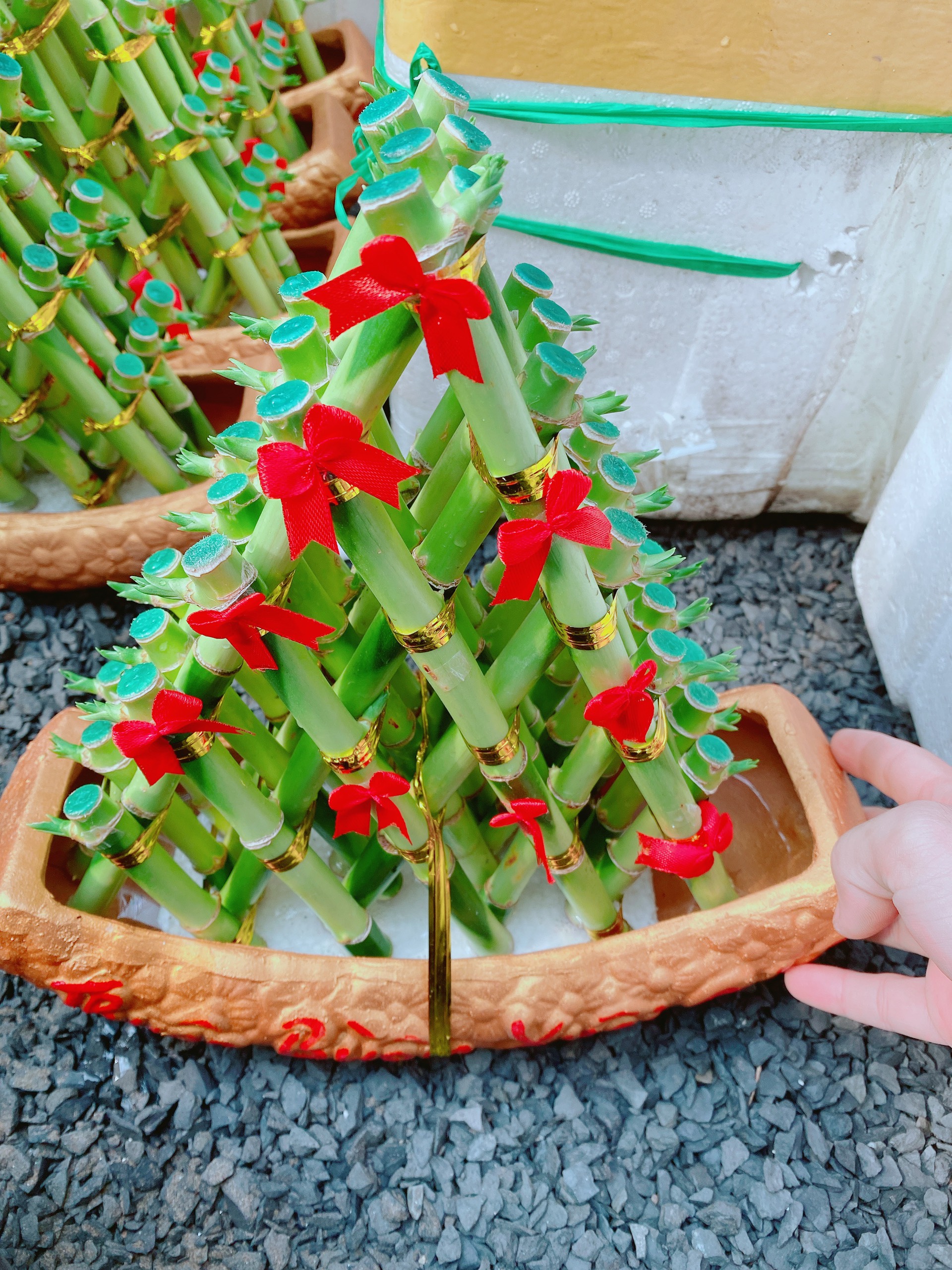 Chúc Phát Tài Chậu Thuyền Thuận Buồm Xuôi Gió