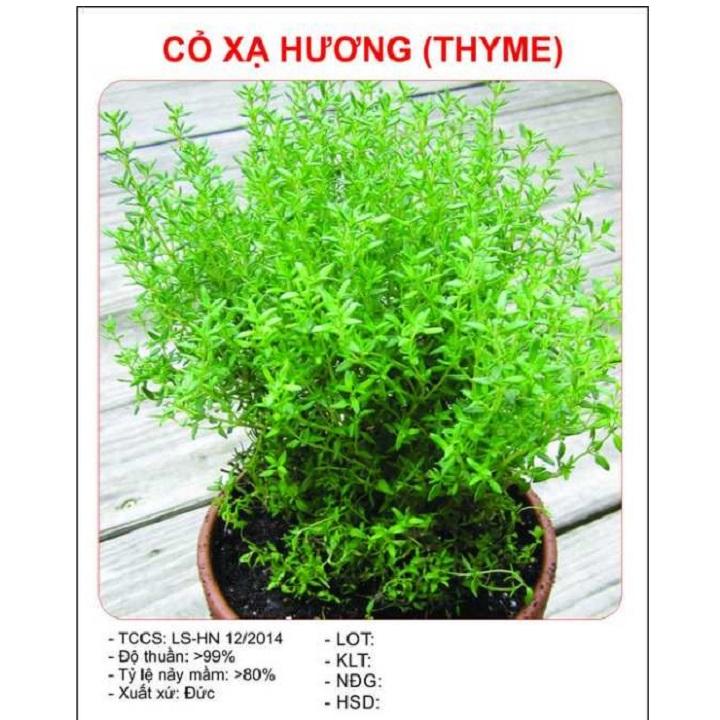 Hạt giống cỏ xạ hương cỏ thơm thyme gói 100 hạt xuất xứ Đức