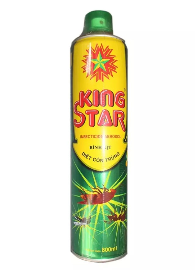 2 Bình xịt muỗi, kiến, côn trùng KING STAR 600ml