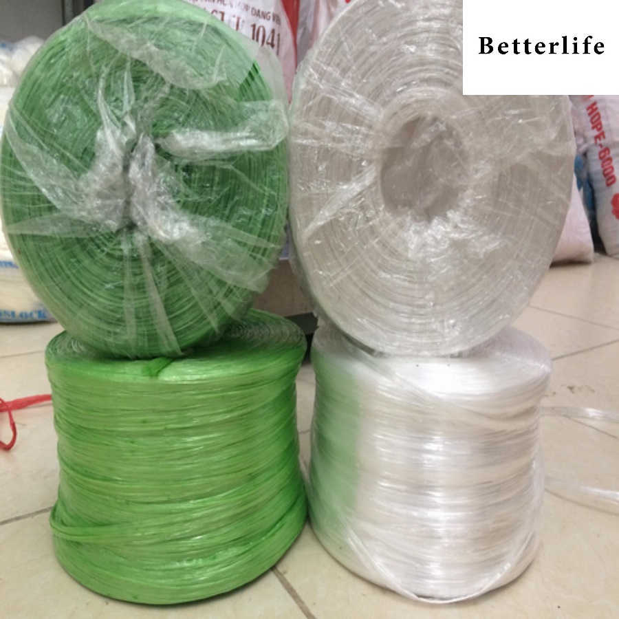 Cuộn dây nilong buộc hàng ( Cuộn 700g ) (Màu sắc ngẫu nhiên) - BetterLife