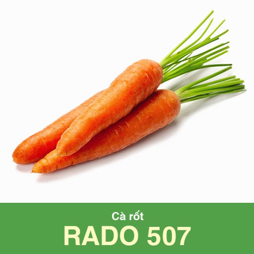 Hạt Giống Cà Rốt Dễ Trồng 5Gram