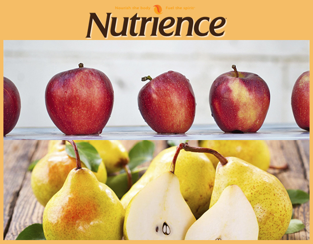 (500g Bag) Nutrience Subzero Cat Food