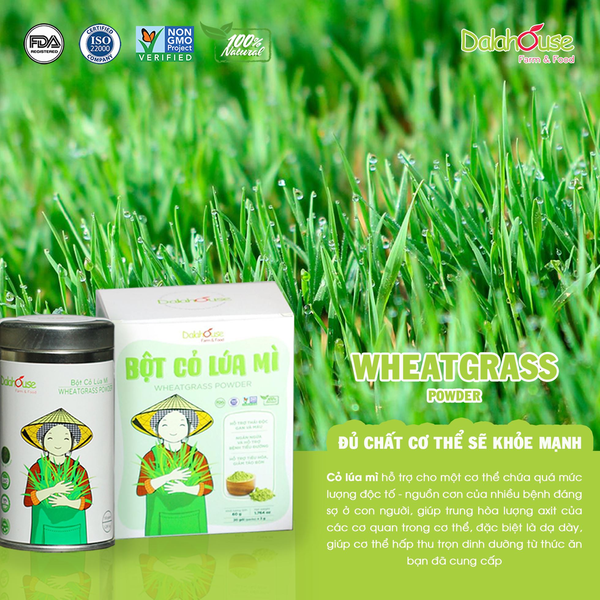 Bột Cỏ Lúa Mì DalaHouse 150 gram ( 100% Natural Wheatgrass Powder)