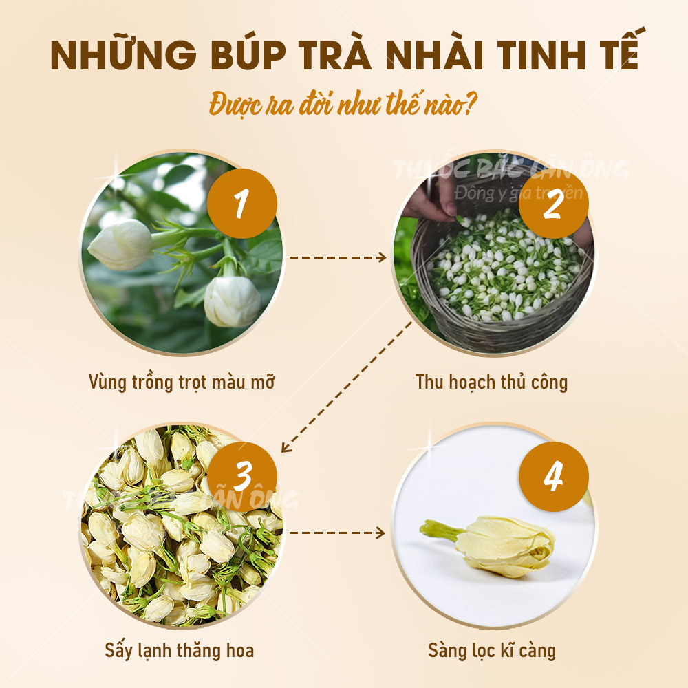Trà hoa nhài sấy lạnh 100g, nụ hoa lài nguyên bông, thơm trắng, dùng pha trà, ướp trà