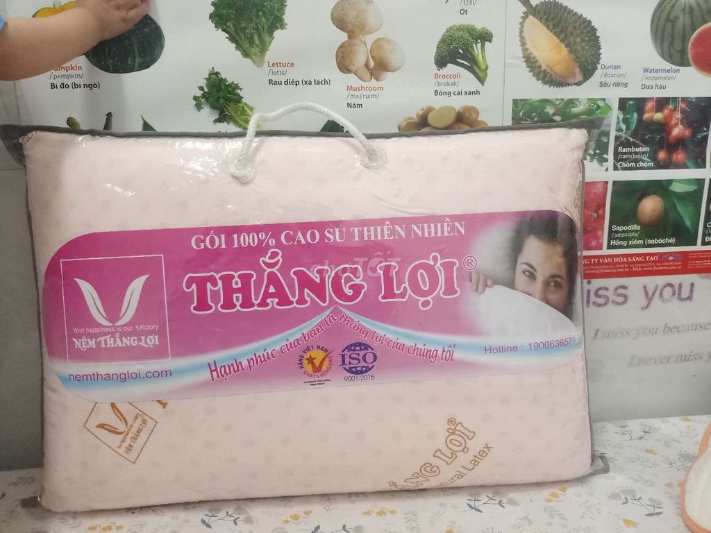 1 GỐI NẰM CAO SU NON THẮNG LỢI 40x60cm
