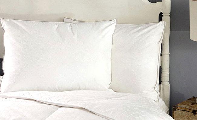 [HCM]Combo 2 ruột gối Home Lucky 50x70