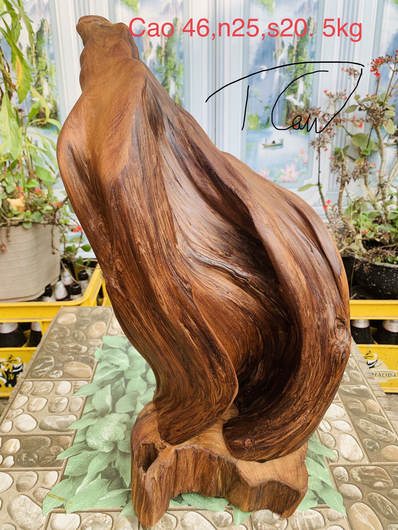 lũa gỗ thơm ngọc am đỏ hà giang