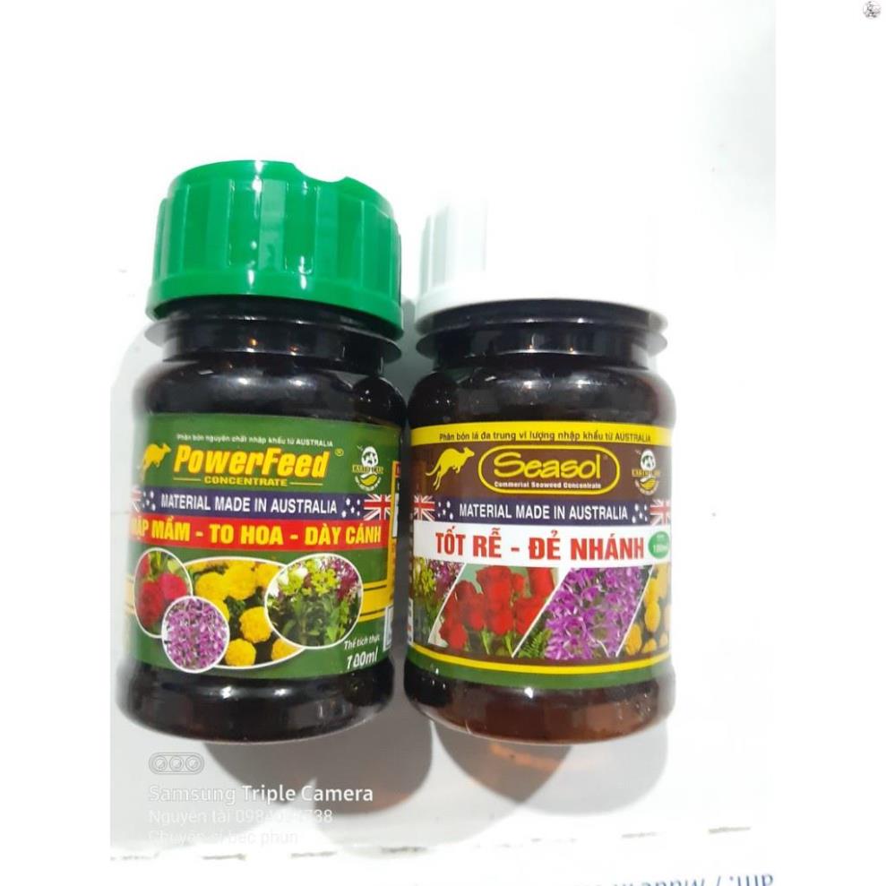 Combo Phân bón hữu cơ đạm cá Powerfeed và Tảo biển Seasol 100ml giúp cây phát triển bền vững