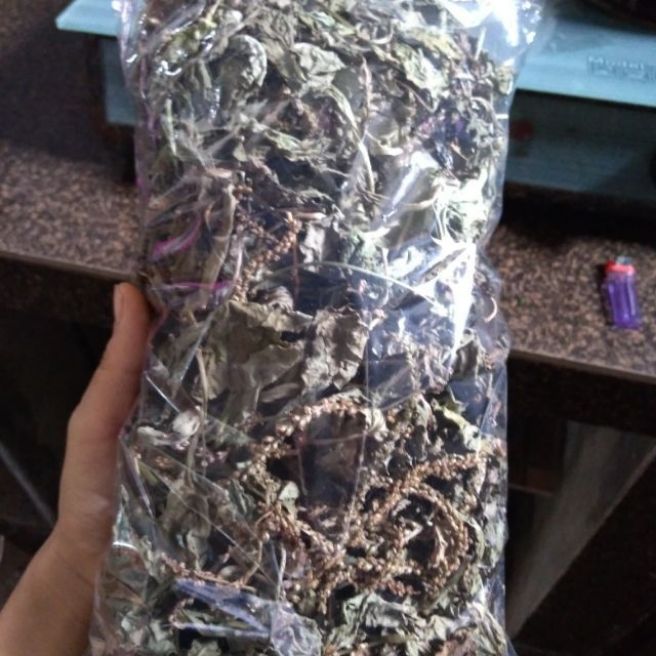 100g bông mã đề khô