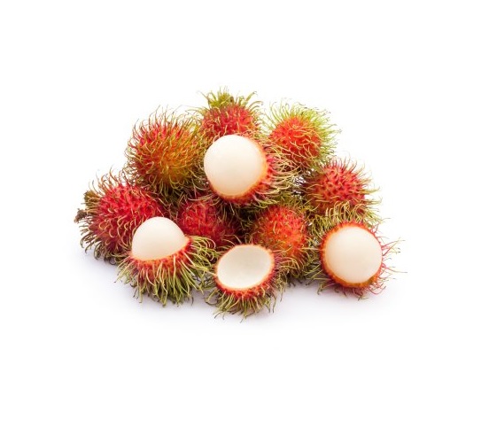 [CHỈ GIAO HCM] - CHÔM CHÔM