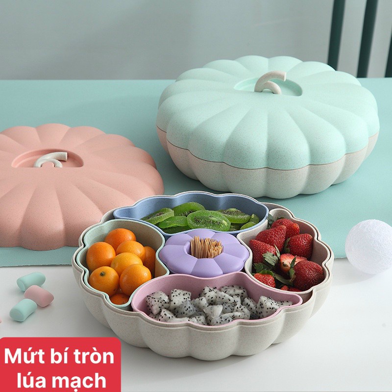 [ TẾT TẾT ] KHAY MỨT LÚA MẠCH HÌNH BÍ DÀI, ĐỰNG MỨT, KẸO . ĐTLV