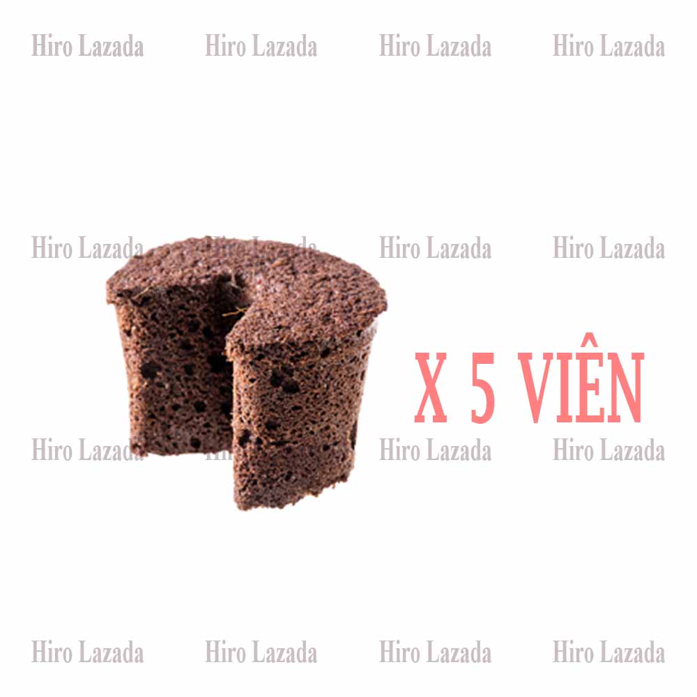 5 viên mút hữu cơ ươm cây kie hà lan cho hoa lan phi điệp quick plug - kích thích ra rễ ra chồi mút mềm giúp rễ con dễ đi xuyên vào trong.