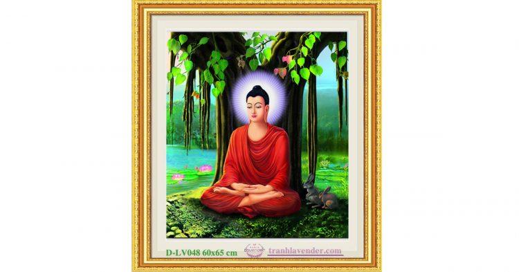 Tranh đính đá thích ca mâu nai phật lv048 60 x 65cm