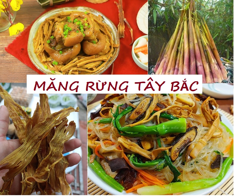 Đặc Sản - Măng Rừng Khô Tây Bắc 100g