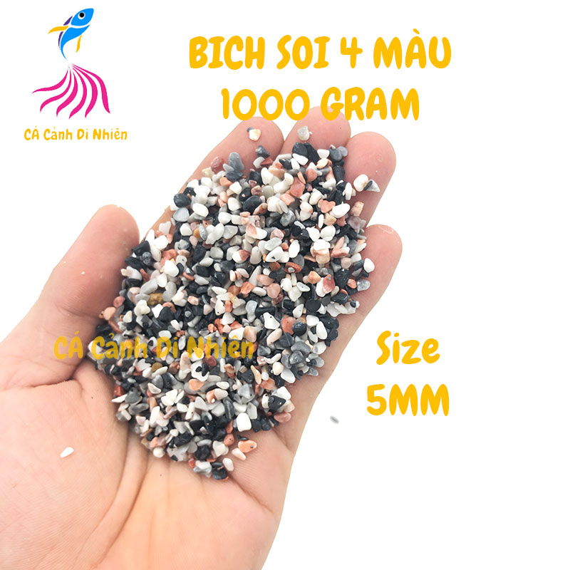 Bịch sỏi 4 MÀU 1 KG size 5 mm trang trí hồ cá cảnh