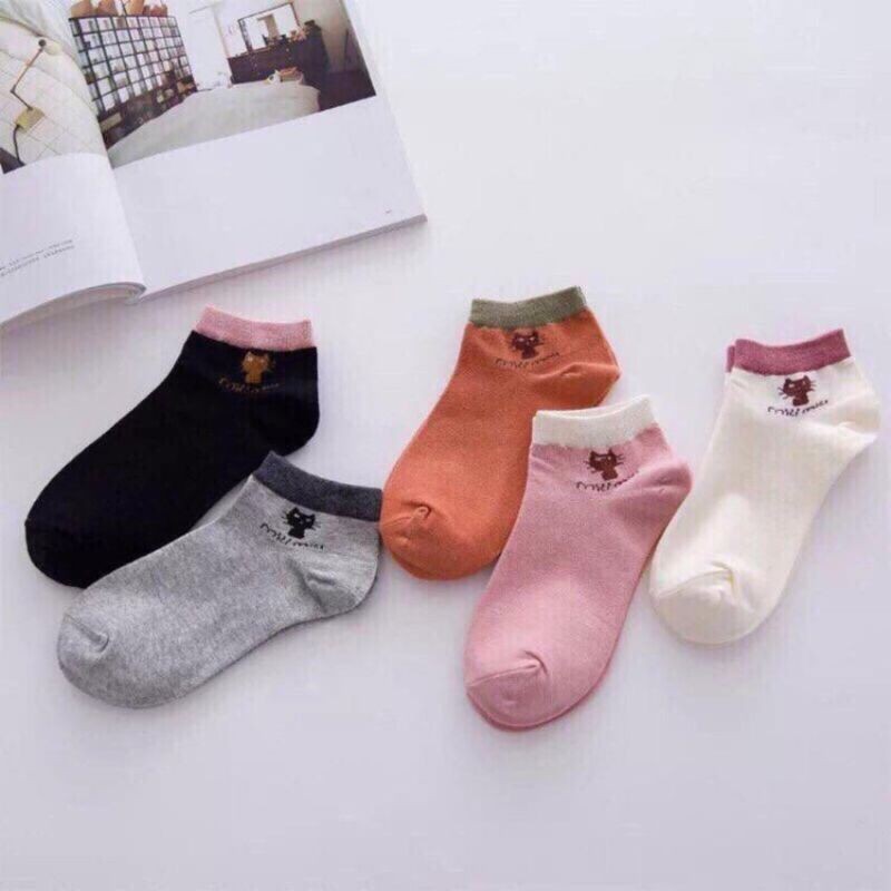 Combo 05 đôi tất MÈO xinh