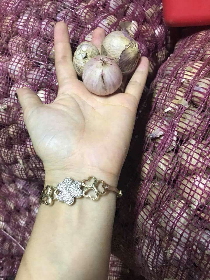 1kg tỏi cô đơn