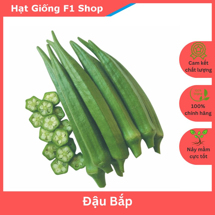 Hạt Giống Đậu Bắp Trái Xanh OP Năng Suất Cao