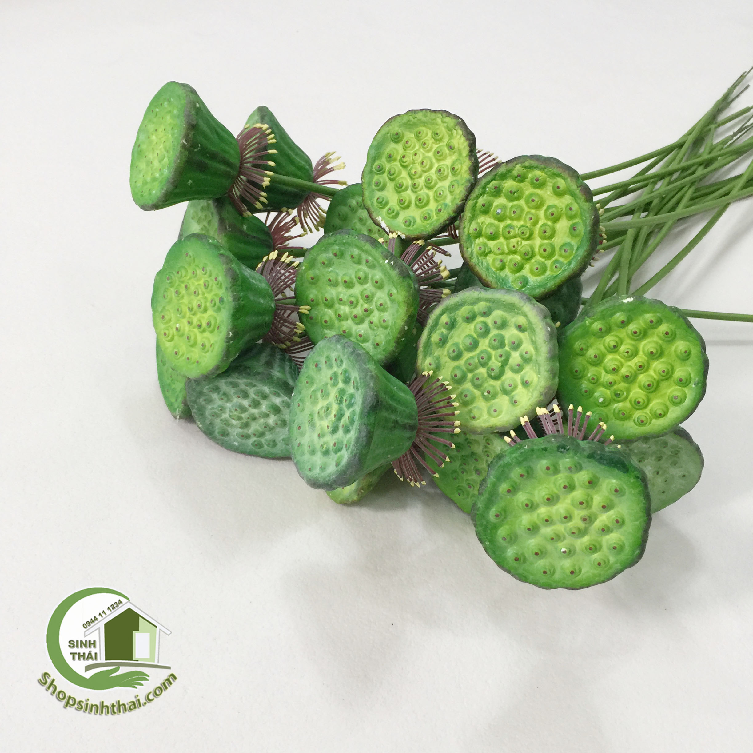 [HCM]Gương sen giả - gương sen cao cấp